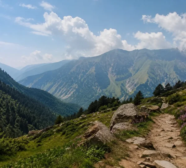 Rajgundha Trek from Bir Billing with scenic mountain trail and Himalayan valley views