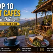 Top 10 Best Cafés in Bir Billing with Mountain Views and Coffee